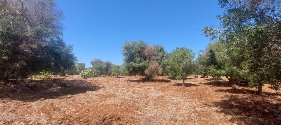 Terreno em Carovigno, Italy 14330 m² N.º 105867 4