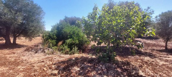 Terreno em Carovigno, Italy 14330 m² N.º 105867 8