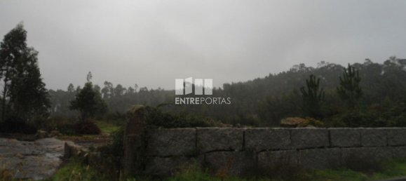 Terreno en Marco de Canaveses, Portugal 7800 m² No. 59614 5