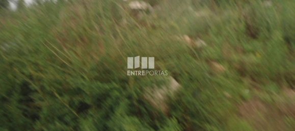 Terreno en Marco de Canaveses, Portugal 7800 m² No. 59614 4