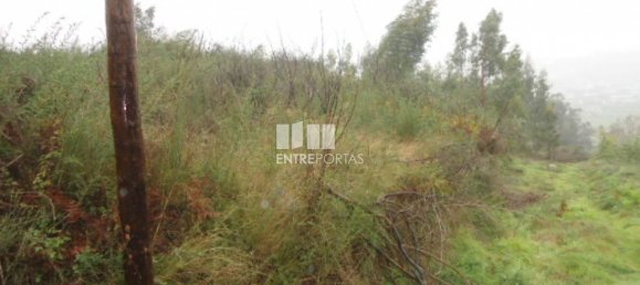 Terreno en Marco de Canaveses, Portugal 7800 m² No. 59614 2