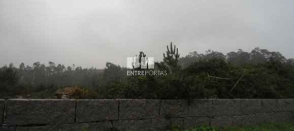 Terreno en Marco de Canaveses, Portugal 7800 m² No. 59614 6