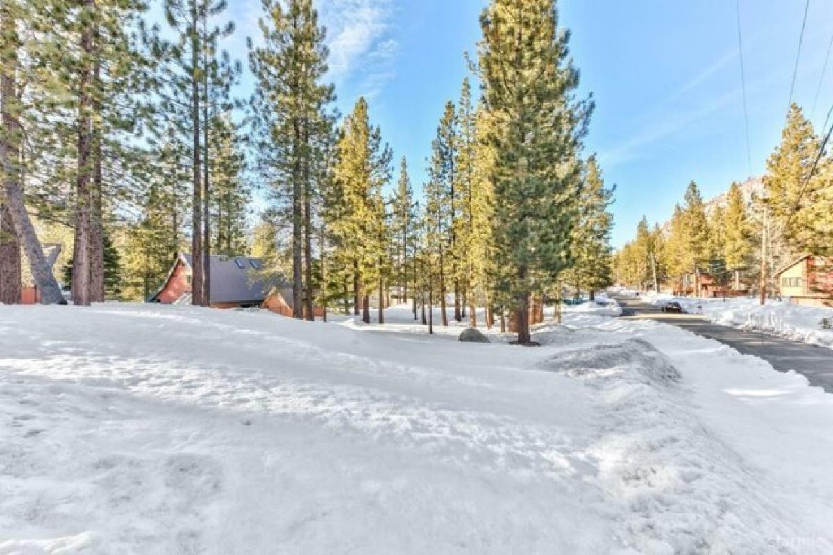  Land in South Lake Tahoe, USA No. 473871