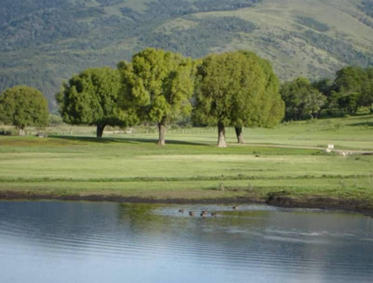  Land in Neuquen, Argentina No. 35748