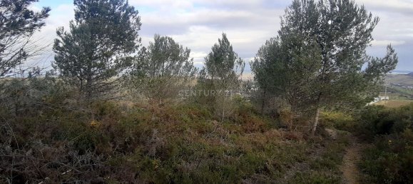 217040m² Land in Alenquer, Portugal No. 59504 30