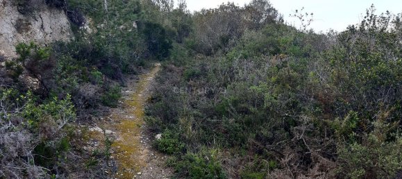 217040m² Land in Alenquer, Portugal No. 59504 32