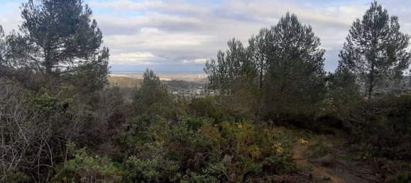 217040m² Land in Alenquer, Portugal No. 59504 31