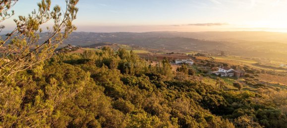 217040m² Land in Alenquer, Portugal No. 59504 44