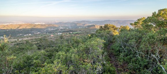 217040m² Land in Alenquer, Portugal No. 59504 47