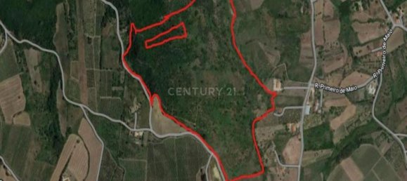 217040m² Land in Alenquer, Portugal No. 59504 19