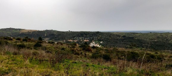 217040m² Land in Alenquer, Portugal No. 59504 12
