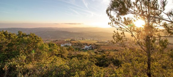 217040m² Land in Alenquer, Portugal No. 59504 4