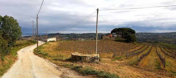 217040m² Land in Alenquer, Portugal No. 59504 26