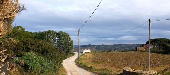 217040m² Land in Alenquer, Portugal No. 59504 7