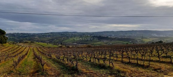 217040m² Land in Alenquer, Portugal No. 59504 22