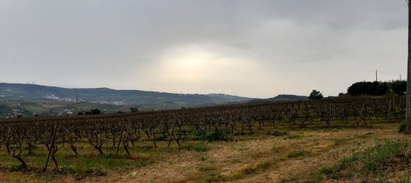 217040m² Land in Alenquer, Portugal No. 59504 17