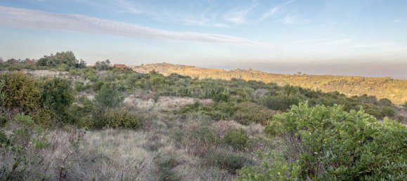 217040m² Land in Alenquer, Portugal No. 59504 50