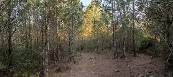 217040m² Land in Alenquer, Portugal No. 59504 45