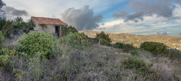 217040m² Land in Alenquer, Portugal No. 59504 49