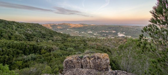 217040m² Land in Alenquer, Portugal No. 59504 42