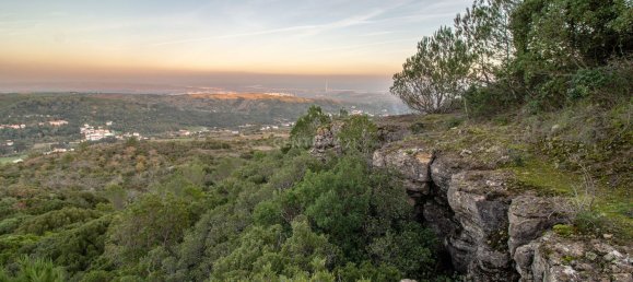 217040m² Land in Alenquer, Portugal No. 59504 43