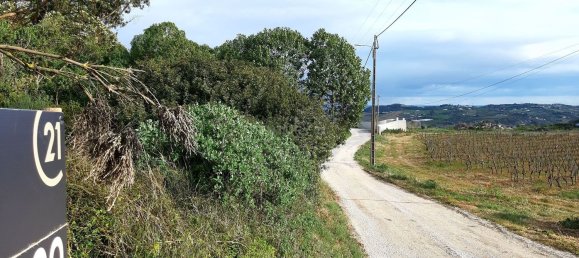 217040m² Land in Alenquer, Portugal No. 59504 27