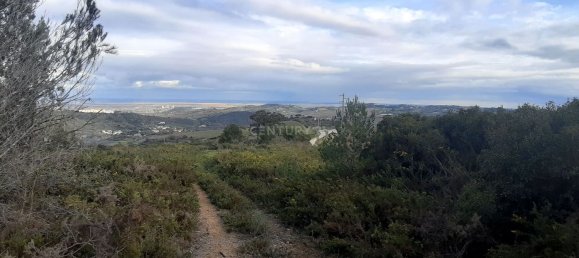 217040m² Land in Alenquer, Portugal No. 59504 29