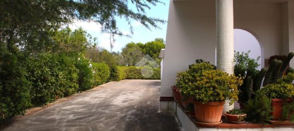 4 rooms Villa in Carovigno, Italy No. 259734 16