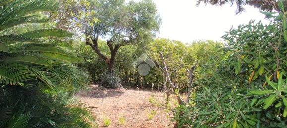 4 rooms Villa in Carovigno, Italy No. 259734 42