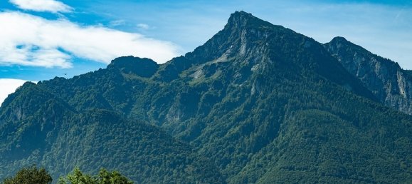 1241m² Land in Salzburg, Austria No. 59888 4