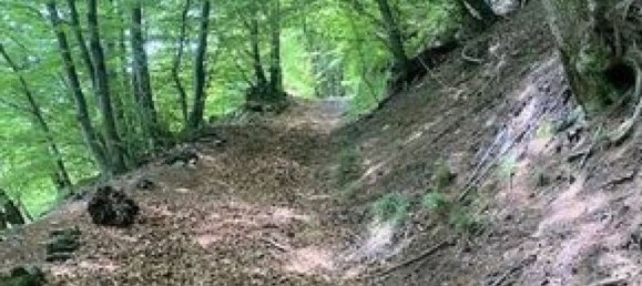 Casa de 6 divisões em Alta Valle Intelvi, Italy N.º 74098 29