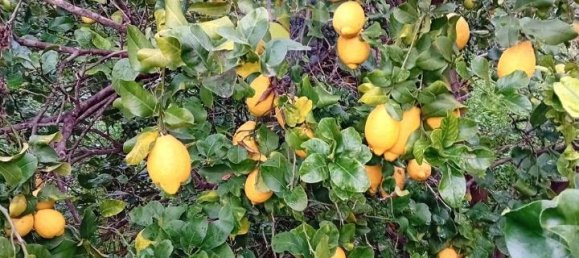 Terreno de 1 divisão em Acireale, Italy N.º 13759 3