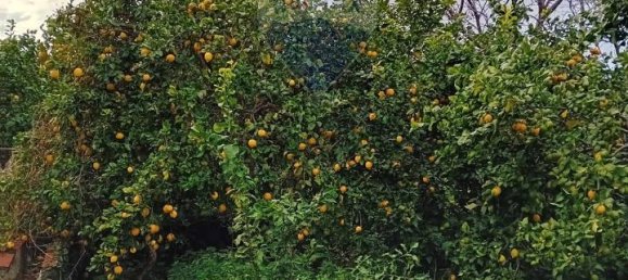 Terreno de 1 divisão em Acireale, Italy N.º 13759 2