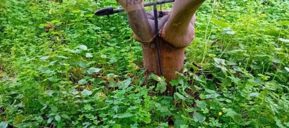 Terreno de 1 divisão em Acireale, Italy N.º 13759 4