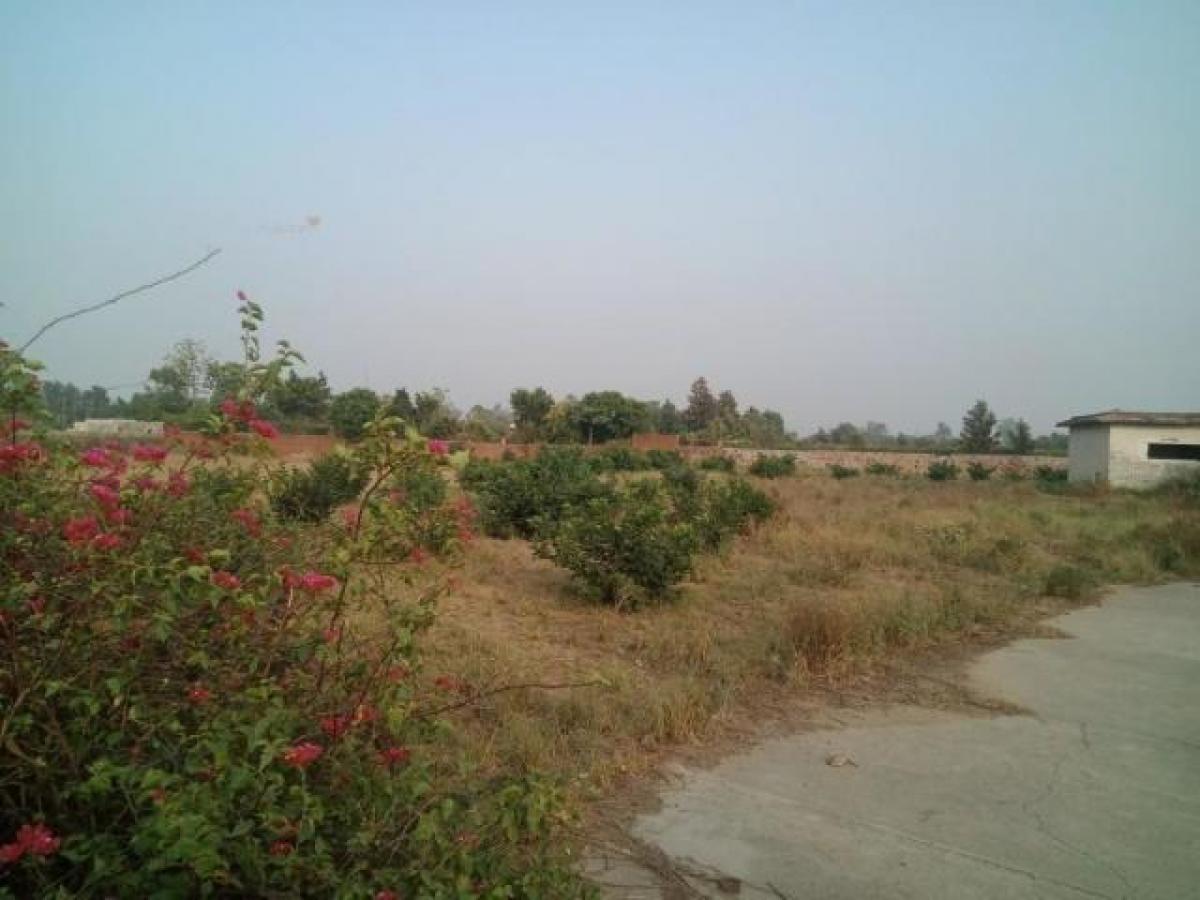 Terreno em Gurgaon, India N.º 32598