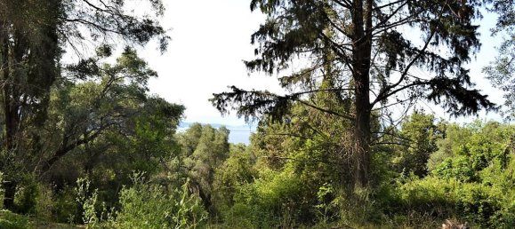 33000m² hôtel à vendre à Corfu, Central Corfu and Diapontian Islands, Corfu, Ionian Islands, Peloponnese, Western Greece and the Ionian, Greece № 4804 20