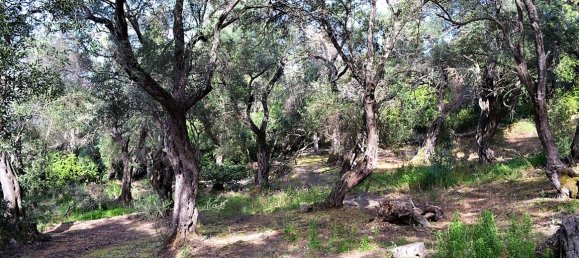 33000m² Hotel in Corfu, Greece No. 4804 15