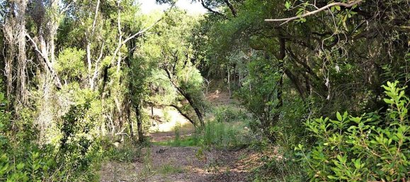 33000m² Hotel in Corfu, Greece No. 4804 13