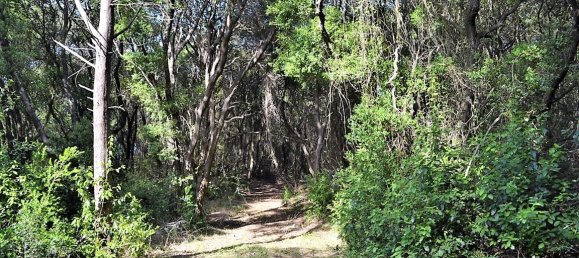 33000m² Hotel in Corfu, Greece No. 4804 18