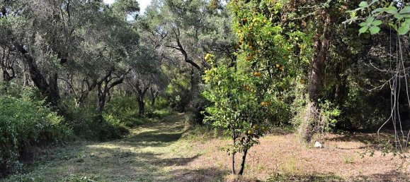 33000m² Hotel in Corfu, Greece No. 4804 17