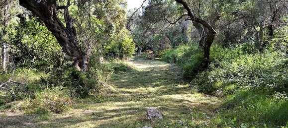 33000m² hôtel à vendre à Corfu, Central Corfu and Diapontian Islands, Corfu, Ionian Islands, Peloponnese, Western Greece and the Ionian, Greece № 4804 21