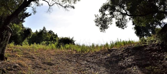 33000m² Hotel in Corfu, Greece No. 4804 16