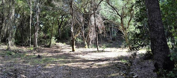 33000m² Hotel in Corfu, Greece No. 4804 14