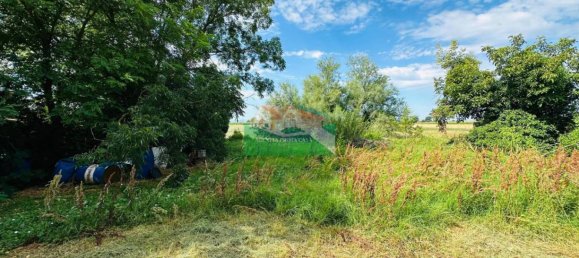 4 chambres Maison à Ravenna, Italy No. 283598 3