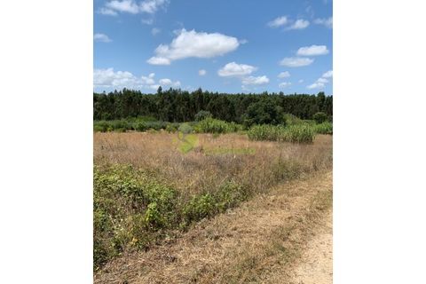 277m² Land in Cadaval, Portugal No. 148854