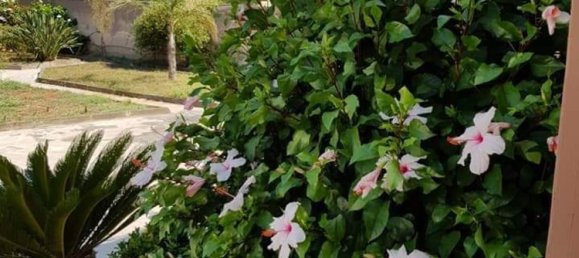 Apartamento de 6 habitaciónes en Syracuse, Italy No. 250568 4