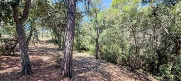 6 Schlafzimmer Haus in Calonge, Spain, Nr. 190276 31