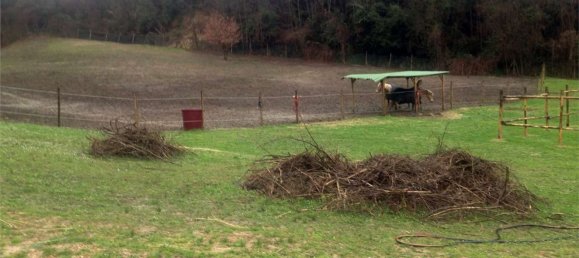 35000m² Land in Fauglia, Italy No. 171077 6