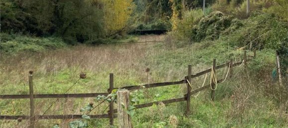 35000m² Land in Fauglia, Italy No. 171077 3