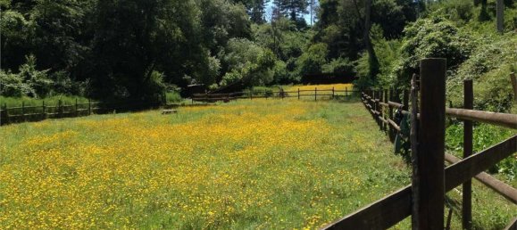 35000m² Land in Fauglia, Italy No. 171077 2